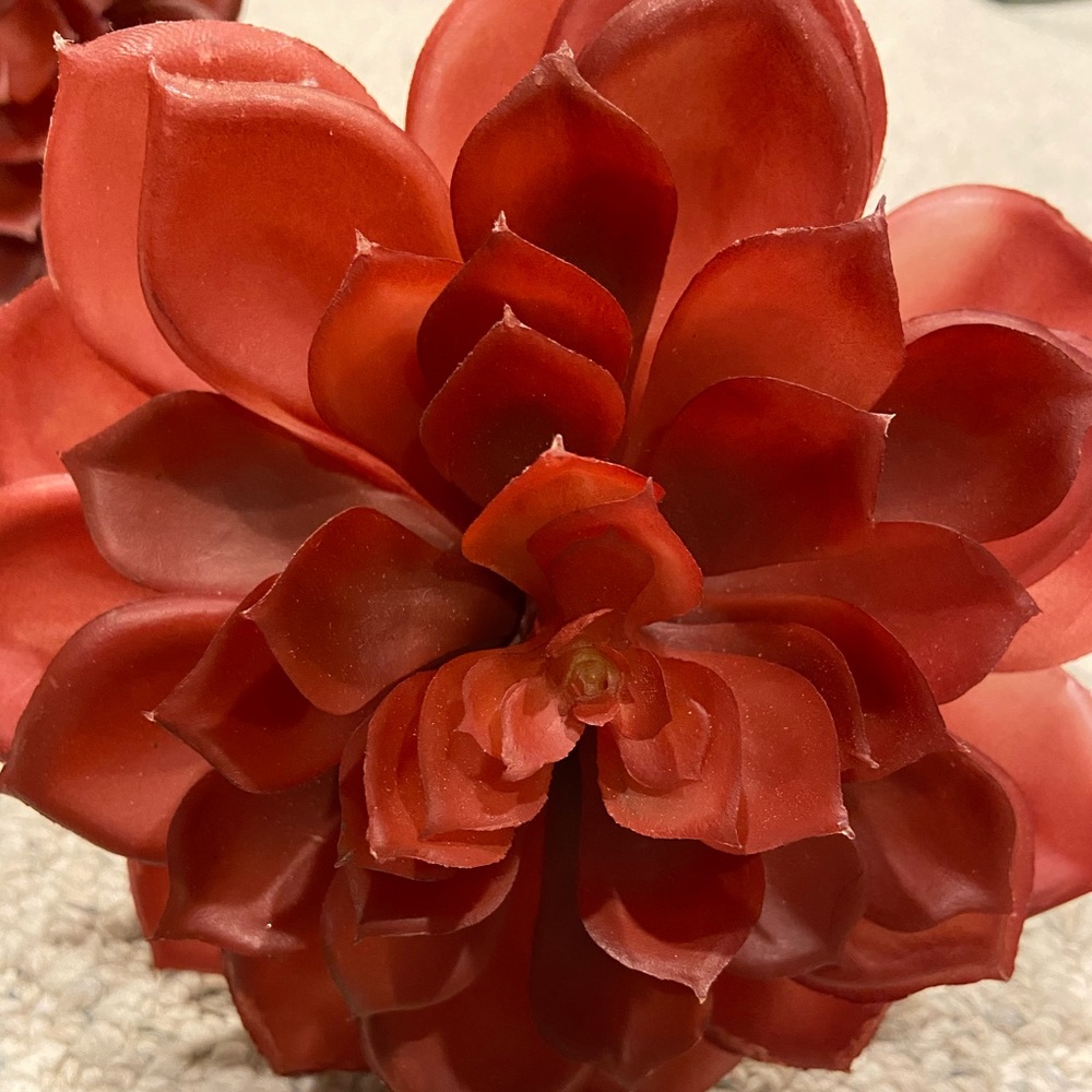 Artificial Succulent Pieces